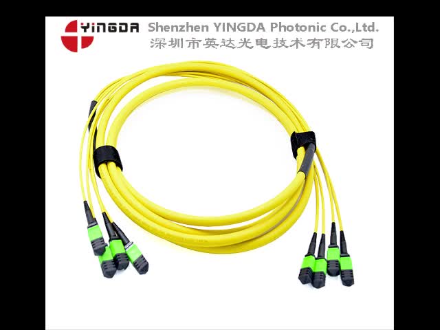 48Fibers  MPO MTP Patch Cord  OS2 SingleMode 4X12Fiber MPO Jumper Cable  LSZH/Riser For Data Center