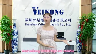 China Multi-Function Digital Input and Output VFD Variable Frequency Drive supplier