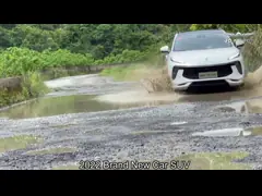 Direzione sinistra 4 Türen SUV pick-up 5 sedili 7DCT Gas / Energie de gasolina