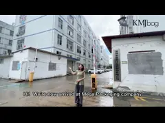 Shenzhen Mega Packaging Co., Ltd. - Hersteller von Kuchenbeuteln