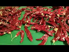 AD Dried Guajillo Chili Spicy Single Herbs Block Shape Natural Red With Stem