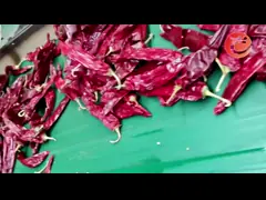 Culinary Yidu Chili Grade A Natural Strong Pungent Low Moisture