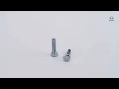 Zinc Coated Din Sus304 Stainless Steel Pan Head Screws M5 50Mm Screws For Lamps