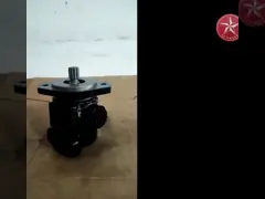 Pompa di sterzo di potenza C5253897 Parti di autoveicoli per motore CUMMINS 6CT