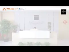 Personalisiertes Make-up-Kosmetik-Pinsel-Set Luxus-Mini-Reise-Set für Modische