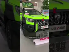 Dongfeng Rich7 Pickup 4X4 Benzina Zhengzhou Benzina E Diesel 2WD Pickup