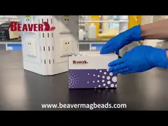 Zinken gemaakt van paramagnetisch siliciumhydroxide