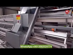 Manual 4 Tiers Pvc Automatic Poultry Feeding System SGS Layer Chicken Cage