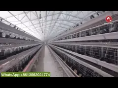 90/96/120/128/160 Birds Layer Chicken Cage System Farming A Type 3 Or 4 Tiers