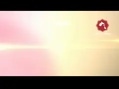 Chicken Laying Cage Galvanized Automatic H Type Chicken Cages Layer Poultry For Farming