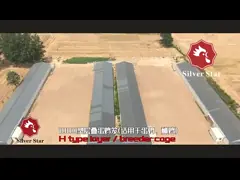 H Shaped Small Stacked Layer Chicken Cage 6 Layers Customized