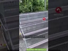 Hygienic A Type Hens Farm Layer Chicken Cage Automatic Manure Removing