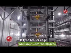HDG Chicken Cage Equipment , 3 Or 4 Layers Poultry Battery Cage