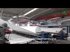 Stijve HDPE LDPE Samengestelde Geomembrane Antilekkage Ondoordringbare Vlotte Geweven