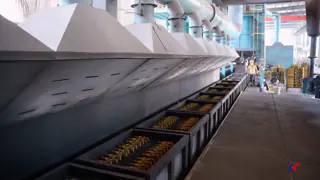 Ρίκοπερτί Αρένα 콩치 (Linea de moldeo de conchas de arena ricoperti) της μορφής γραμμή